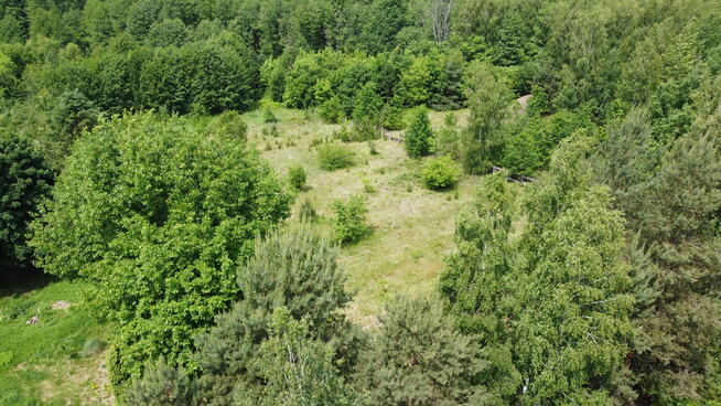Dwa domy na dużej działce 100 km. od Warszawy.