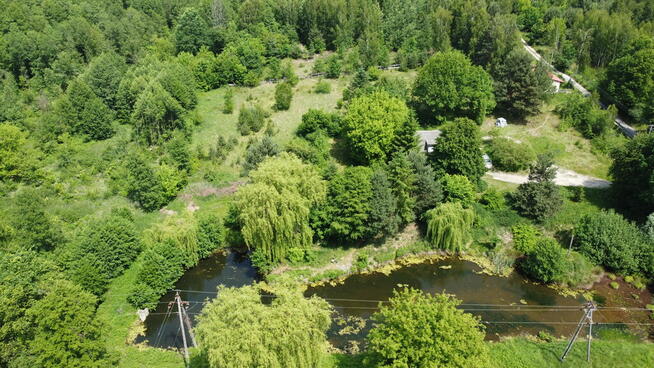 Dwa domy na dużej działce 100 km. od Warszawy.