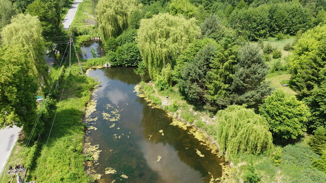 Dwa domy na dużej działce 100 km. od Warszawy.
