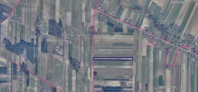 Działka rolna 1,80 ha Mszadla Nowa gm. Przyłęk