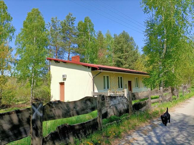 Działka z WZ 4883 m2 Gródek gm. Policzna/zwoleński