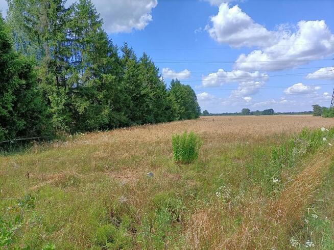 Działka 4 ha o różnym przeznaczeniu w Zwoleniu.