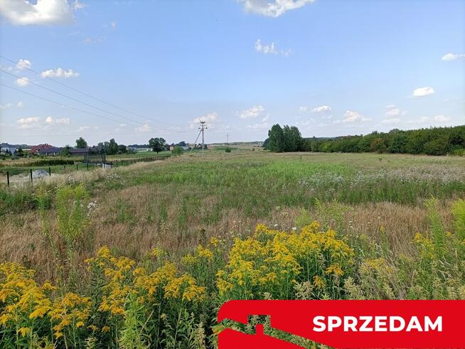 Dwie działki budowlane w Nowodworze gm. Lubatów.