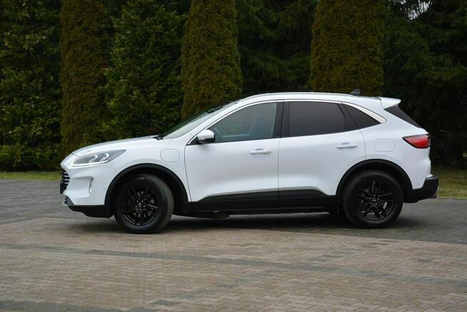 Ford Kuga FV23% RadarACC Head Up Navi Kamera Ledy Virtual Blis ParkAssist ASO