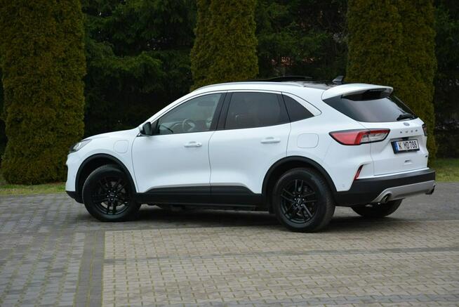 Ford Kuga FV23% RadarACC Head Up Navi Kamera Ledy Virtual Blis ParkAssist ASO