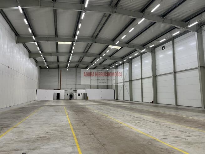 MAGAZYN 2100 m2 LOTNISKO A4 WYSOKI SKŁAD + BIURO