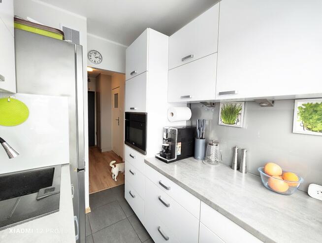 Mieszkanie Szczecin Niebuszewo, ul. JANA ZAMOYSKIEGO