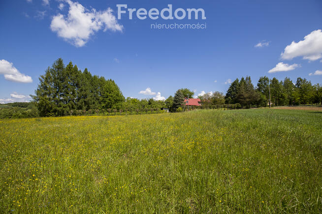 Działka z WZ, media, las 4 km od Rzeszowa