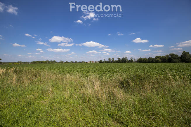 Działka 6,33 ha obok pola golfowego Trzciana