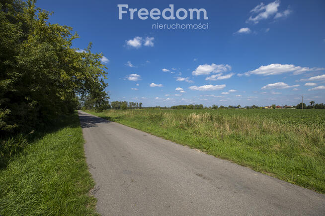 Działka 6,33 ha obok pola golfowego Trzciana