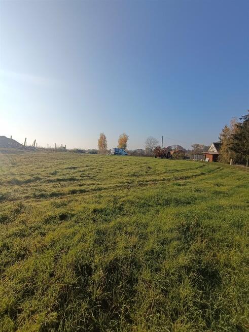 Działka rolna Młyny gm. Pyrzyce