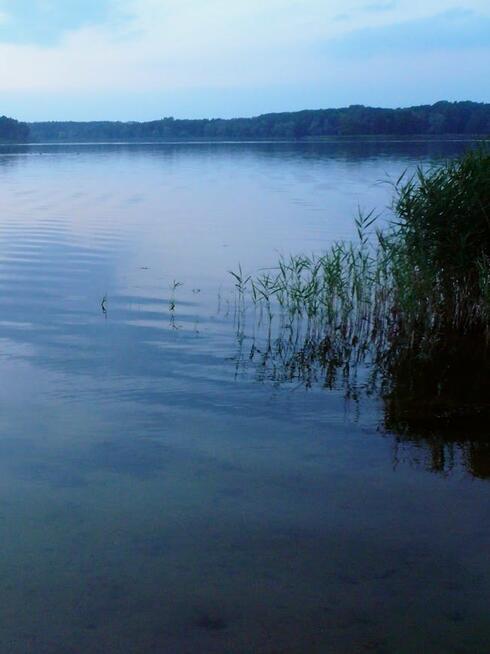 Dom Kruszwin gm. Myślibórz