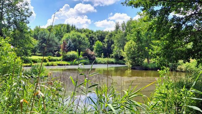 Działka Mielenko Drawskie gm. Drawsko Pomorskie