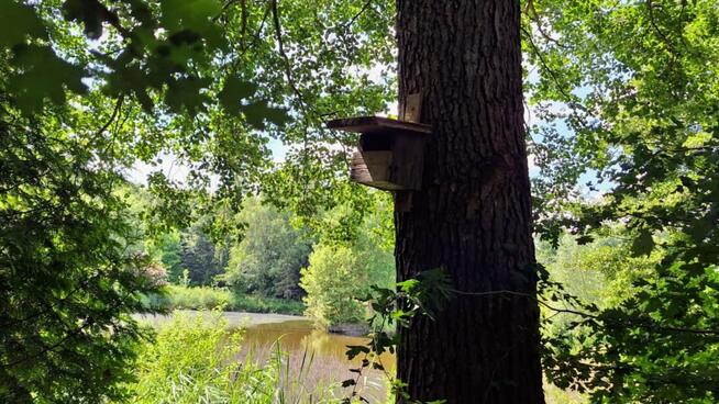 Działka Mielenko Drawskie gm. Drawsko Pomorskie