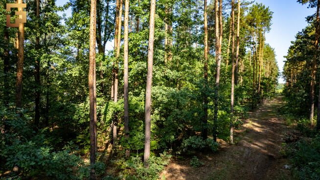 Działka budowlana Warszawa gm. Wawer Wawer, Ezopa