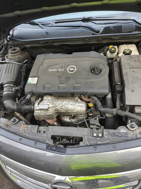 Sprzedam opla insignie