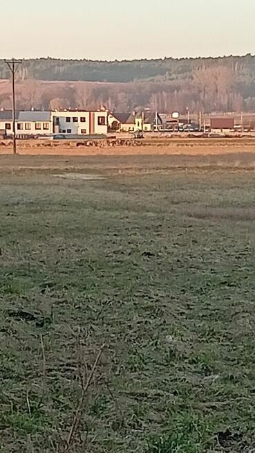 Sprzedam działkę rolno-budowlana w Pasturce