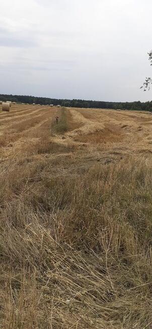 Działka 1,67ha rolno-budowlana-inwestycyjna w Lututów