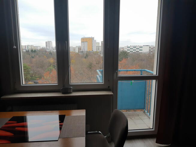 Saska Kępa ul. Międzynarodowa