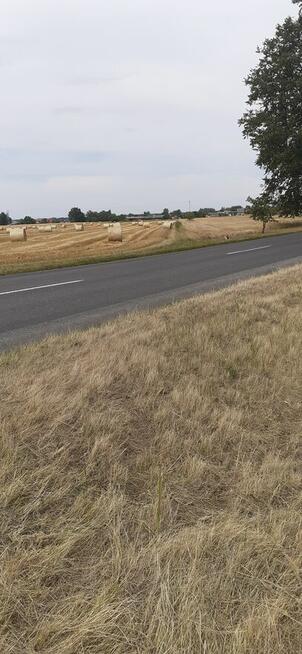 Działka 1,67ha rolno-budowlana-inwestycyjna w Lututów