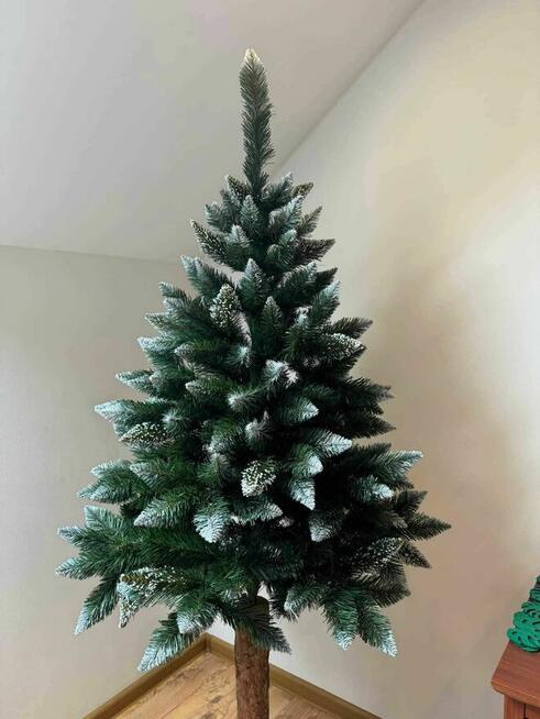 Sosna Diamentowa na pniu POLSKA PRODUKCJA