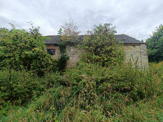 Nieruchomość gruntowa z zabudową - Wierzchowiska - 50%