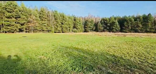 Działka pod budowę domu szeroka długa pod lasem