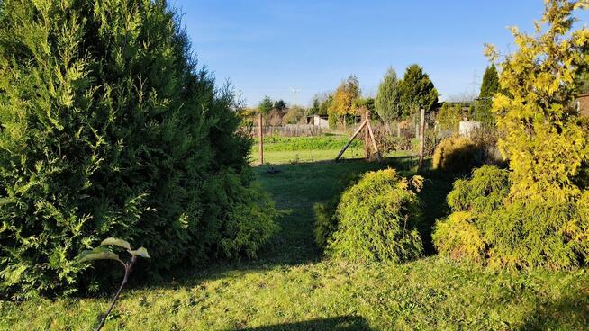 Działka rekreacyjna ROD ogródek działkowy