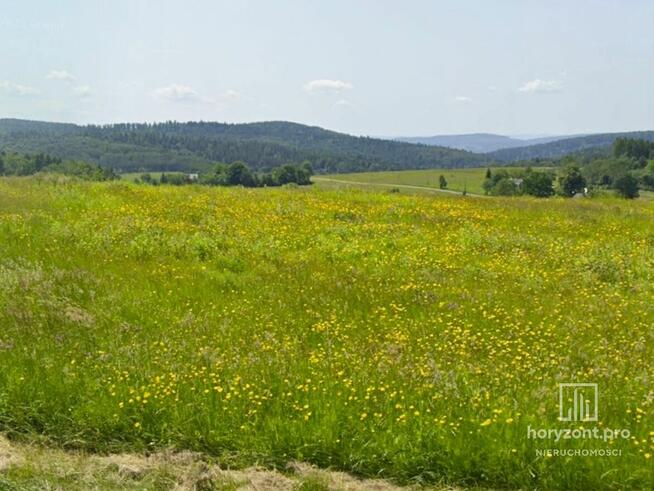 Działki budowlane w BOROWNICY 10 i 20a (razem lub osobno)