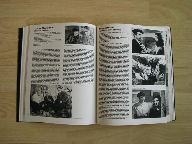 100 filmów włoskich, Hanna Książek-Konicka