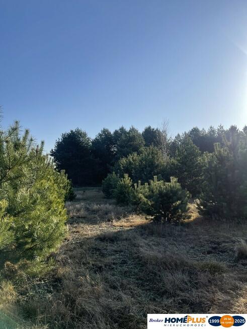 Idealne miejsce na dom,6241 m² blisko lasu i rzeki