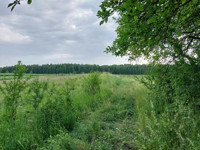 Nieruchomość z siedliskiem