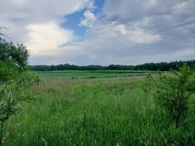 Nieruchomość z siedliskiem