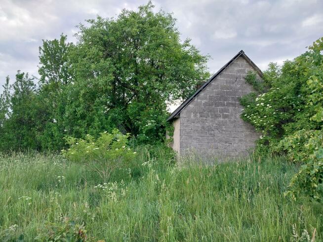 Nieruchomość z siedliskiem