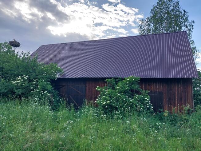 Nieruchomość z siedliskiem