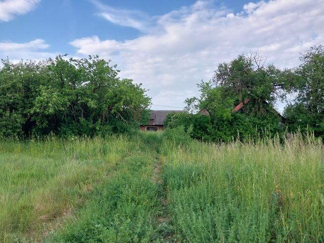 Nieruchomość z siedliskiem