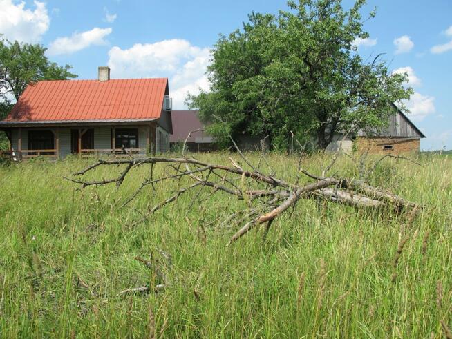 Nieruchomość z siedliskiem