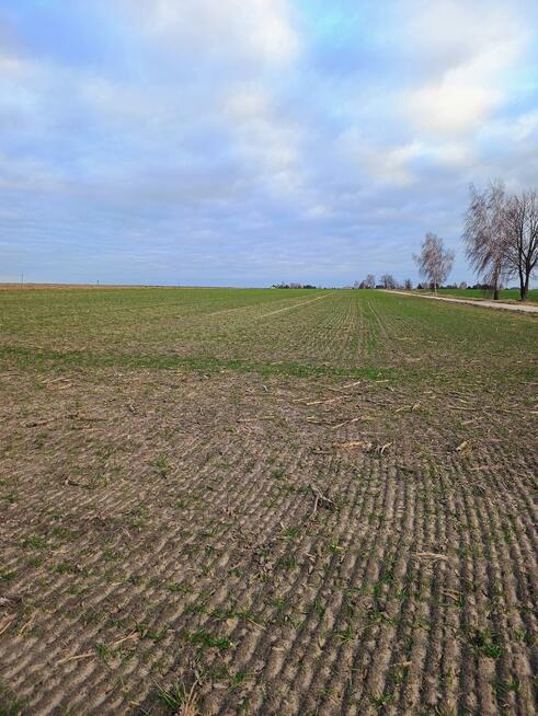 Działka budowlana Zaspy gm. Warta