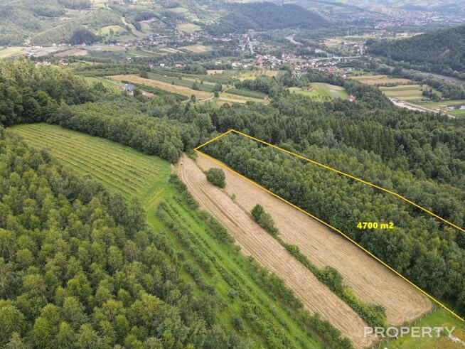 Działka rolna Zabrzeż gm. Łącko