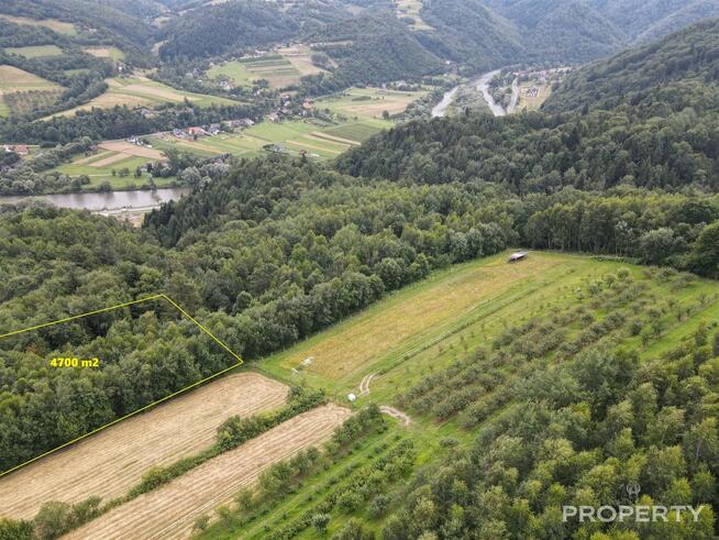 Działka rolna Zabrzeż gm. Łącko