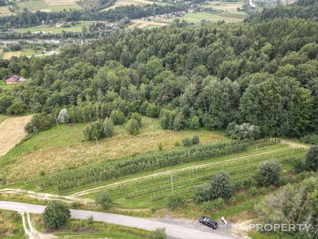 Działka Zabrzeż gm. Łącko