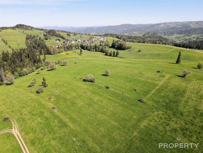 Działka rolna Łapszanka gm. Łapsze Niżne