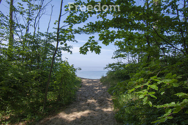 Dębina, Apartament 2 pokoje, Wyposażony, 33m2