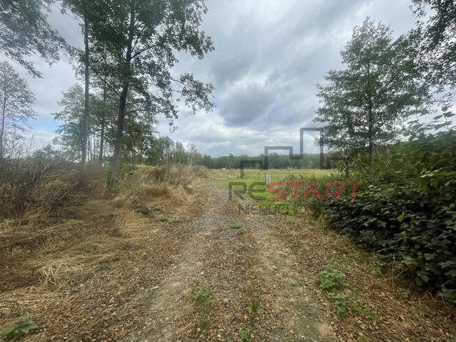 Działka rolna Sade Budy gm. Jaktorów,