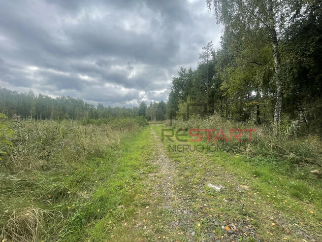 Działka rolna Sade Budy gm. Jaktorów,