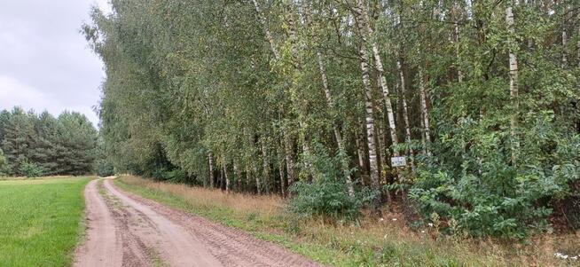 Działka rolno-leśna Stare Lipki