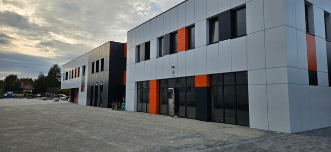 Lokale usługowo handlowe w Brzesku