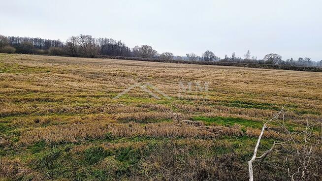 Działka rolna z potencjałem inwestycyjnym 3,21 ha