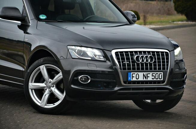 Audi Q5 2,0TDI 170KM Quattro S-line LED Xenon Navi Skóry