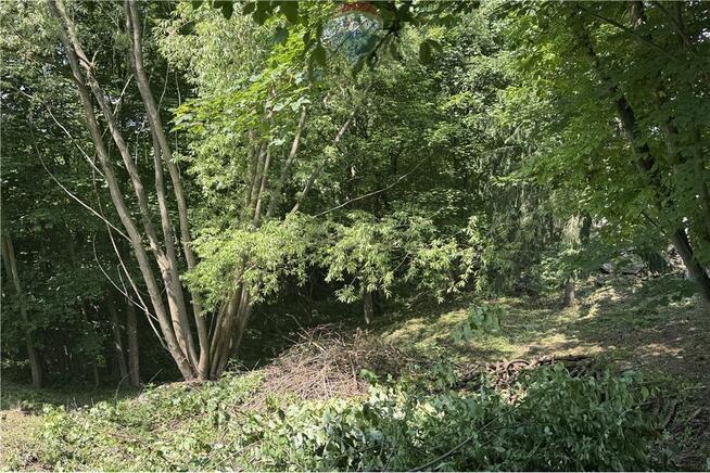 Działka budowlana z mediami Chocznia